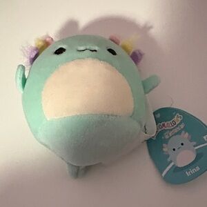 2.5” Squishmallows Irina Axolotl